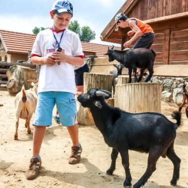 Екскурсія на екоферму "Копиця сіна" з Києва