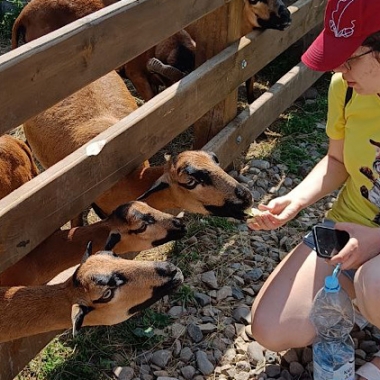 Экскурсия в Ранчо Хайленд + Сыроварня Бараново