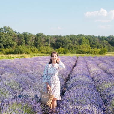 Лавандове поле