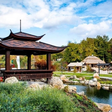 Экскурсия в парк Сакуры и Новую Софиевку из Киева