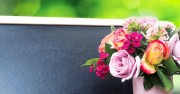 Экскурсии на День учителя из Харькова