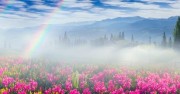 Туры в Закарпатье из Киева