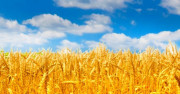 Тури на День Незалежності з Харкова