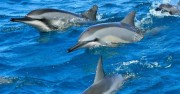 Відпочинок на морі з Києва