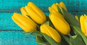 Туры на 8 Марта из Киева