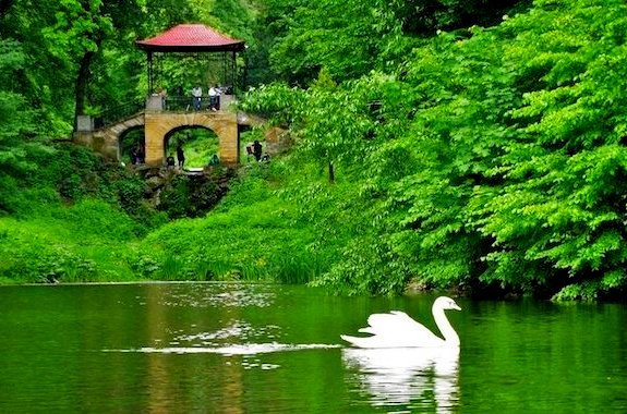 Фото экскурсия в парк Александрия