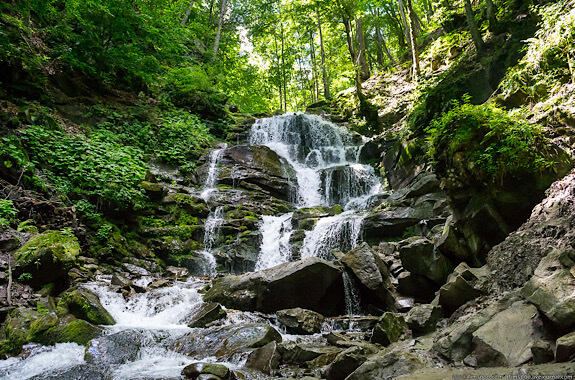 картинка Шипіт