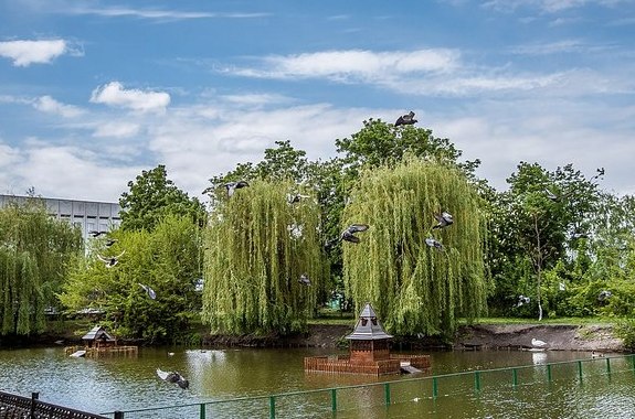картинка город Миргород 