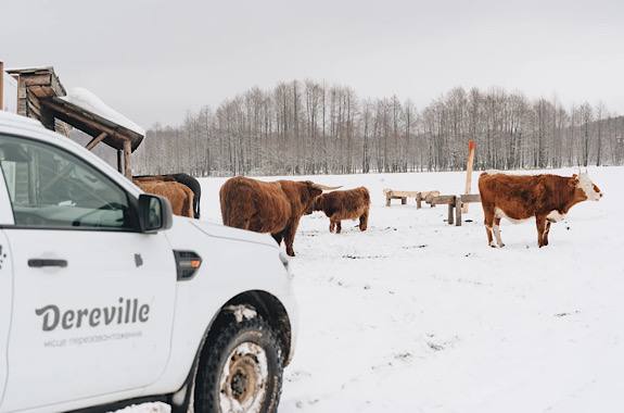 Картинка экопарк деревиль 