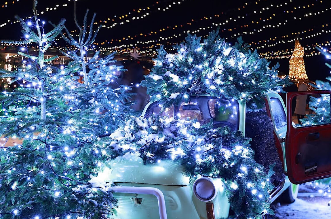 Картинка экскурсия в зимний добропарк