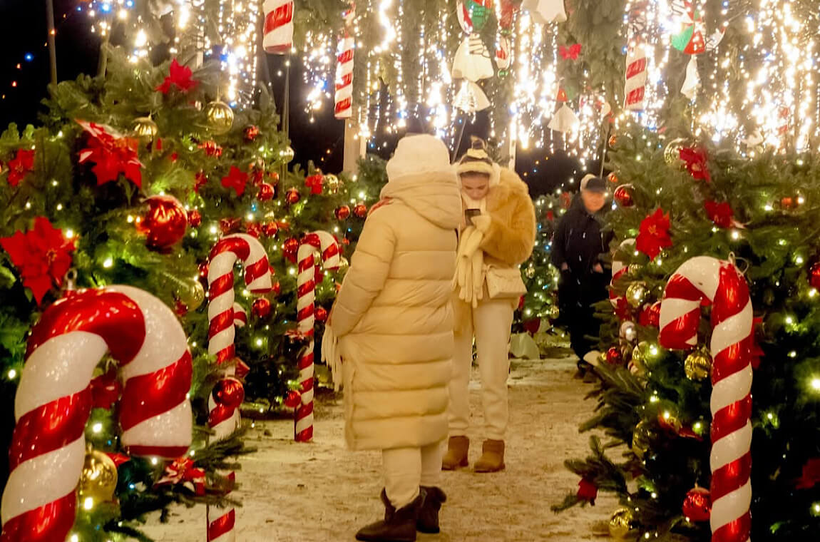 Картинка зимний добропарк