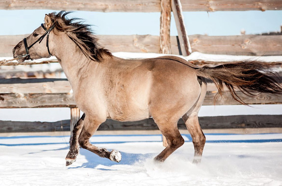 Картинка парк беременицкое