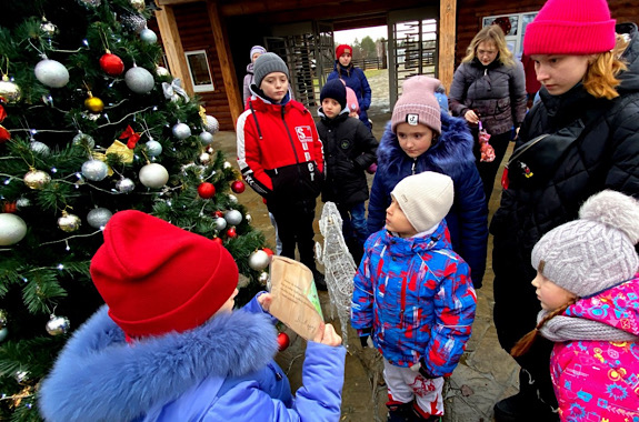 Картинка парк беременицкое