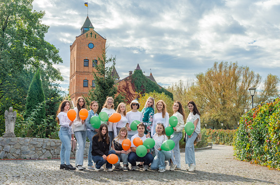 Картинка замок радомышль